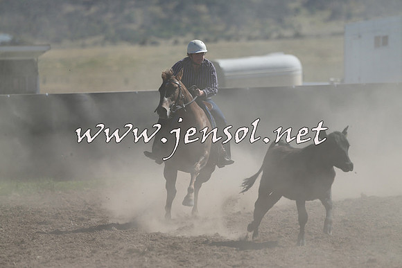 AdaminabyCampdraft2014_0810