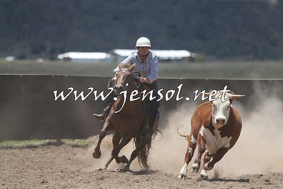 AdaminabyCampdraft2014_0322