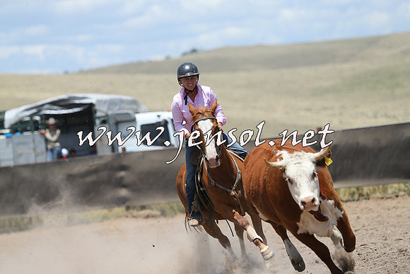 AdaminabyCampdraft2014_0307