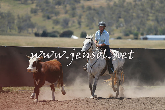 AdaminabyCampdraft2014_0334