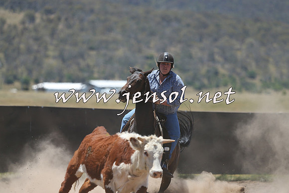 AdaminabyCampdraft2014_0341