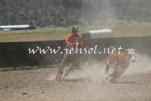AdaminabyCampdraft2014_0265
