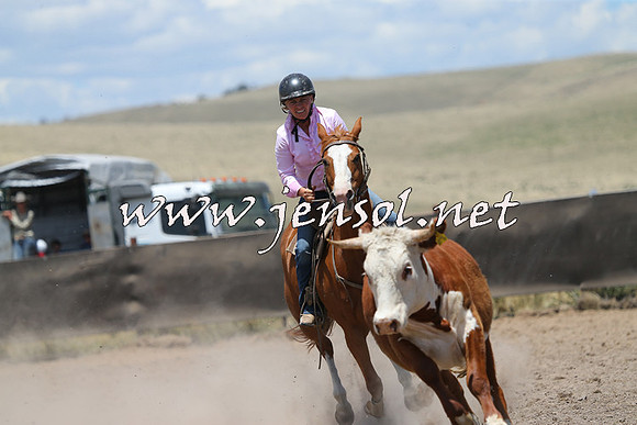 AdaminabyCampdraft2014_0305