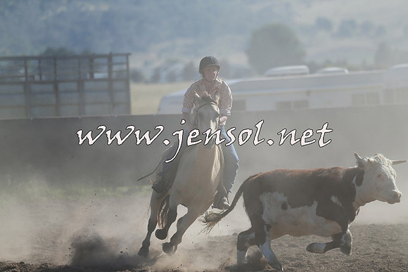 AdaminabyCampdraft2014_0723