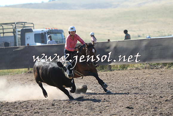 AdaminabyCampdraft2014_0746