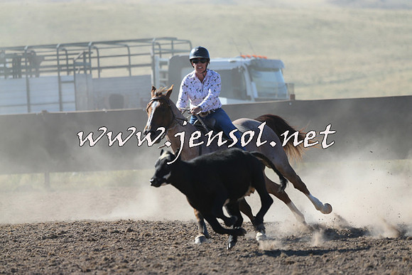 AdaminabyCampdraft2014_0735