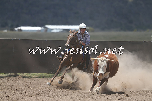 AdaminabyCampdraft2014_0320