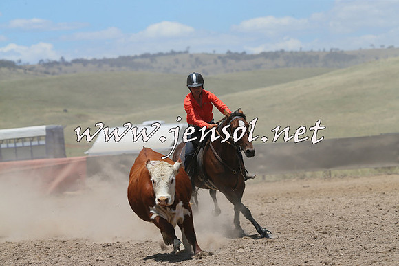AdaminabyCampdraft2014_0281