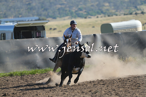 AdaminabyCampdraft2014_0710