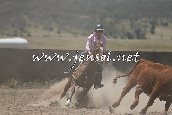 AdaminabyCampdraft2014_0362