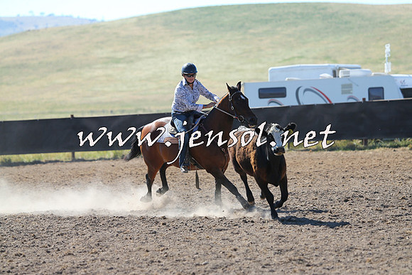 AdaminabyCampdraft2014_0778