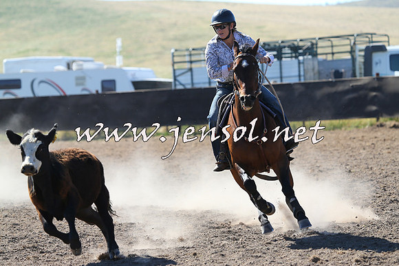 AdaminabyCampdraft2014_0786