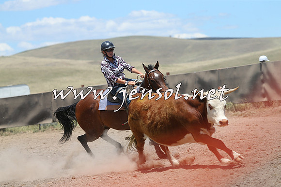 AdaminabyCampdraft2014_0315