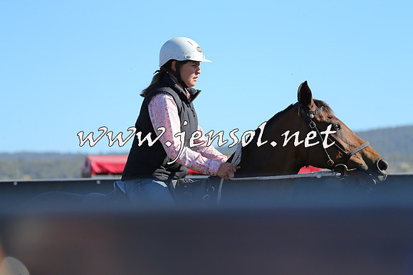 AdaminabyCampdraft2014_0728