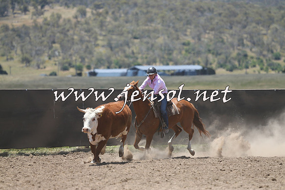 AdaminabyCampdraft2014_0297