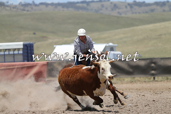AdaminabyCampdraft2014_0326