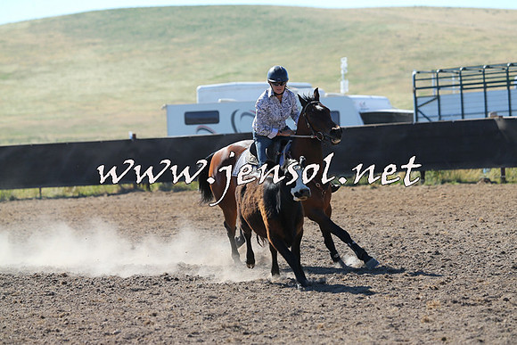 AdaminabyCampdraft2014_0779