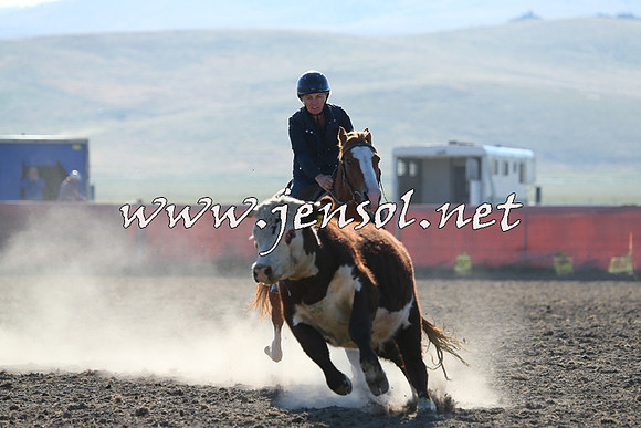 AdaminabyCampdraft2014_0703