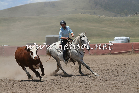 AdaminabyCampdraft2014_0337