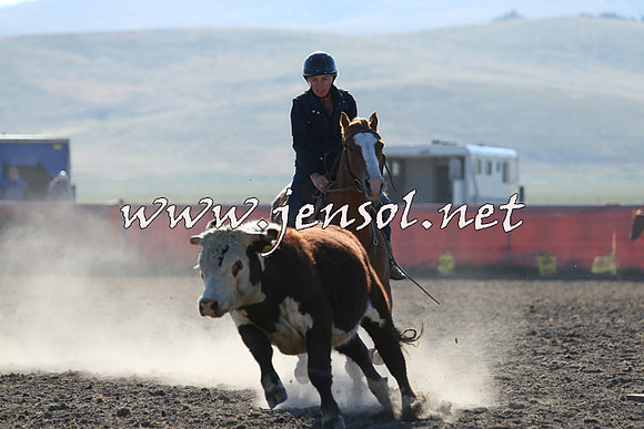 AdaminabyCampdraft2014_0704
