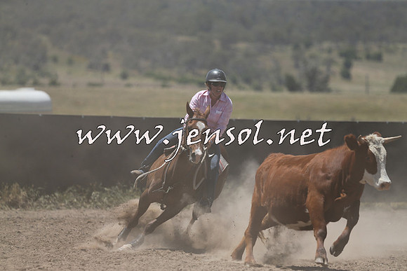 AdaminabyCampdraft2014_0365