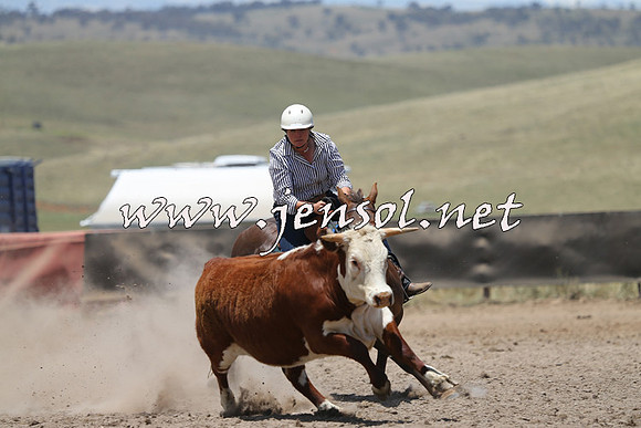 AdaminabyCampdraft2014_0324