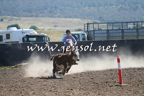 AdaminabyCampdraft2014_0788