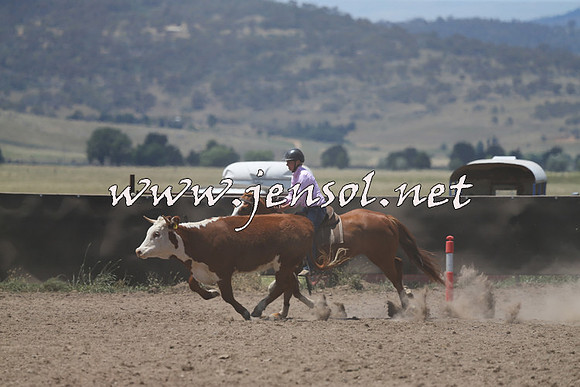 AdaminabyCampdraft2014_0308