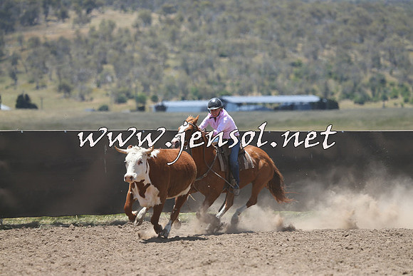 AdaminabyCampdraft2014_0296