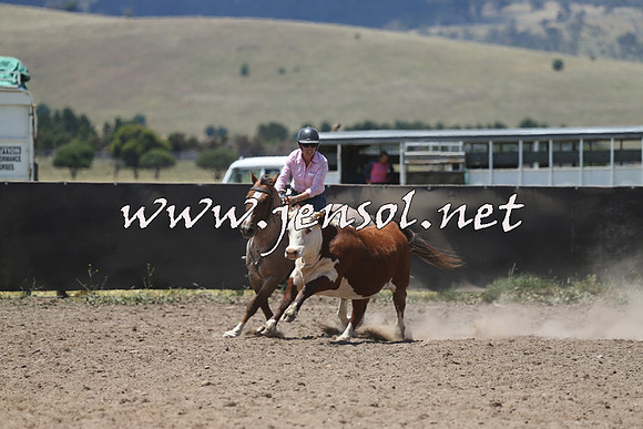 AdaminabyCampdraft2014_0354