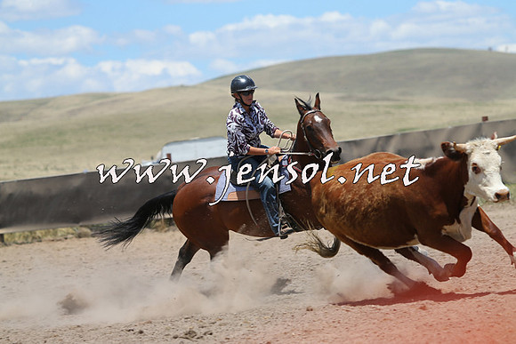 AdaminabyCampdraft2014_0317