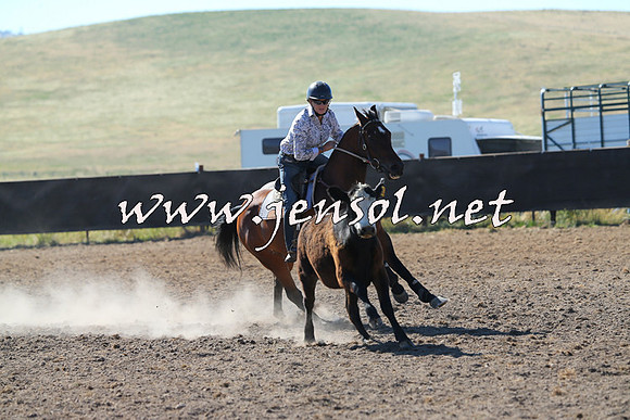 AdaminabyCampdraft2014_0782