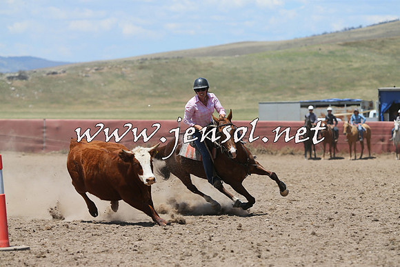 AdaminabyCampdraft2014_0369