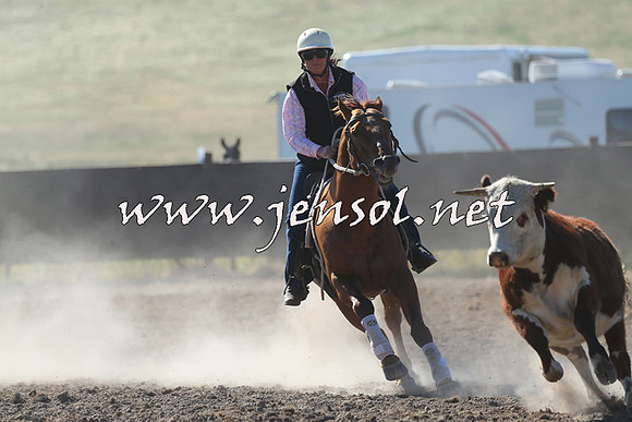 AdaminabyCampdraft2014_0769