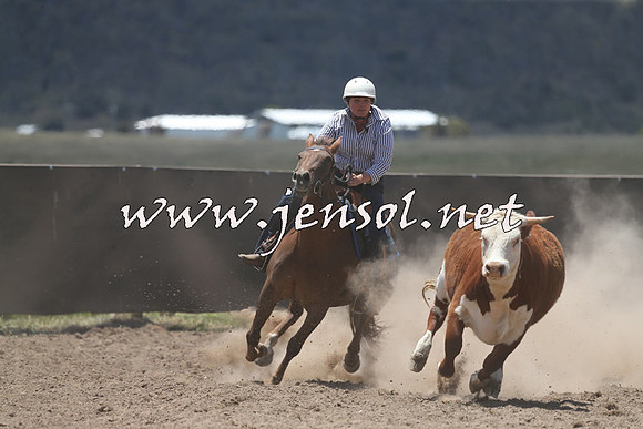 AdaminabyCampdraft2014_0319