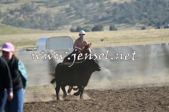 AdaminabyCampdraft2014_0706