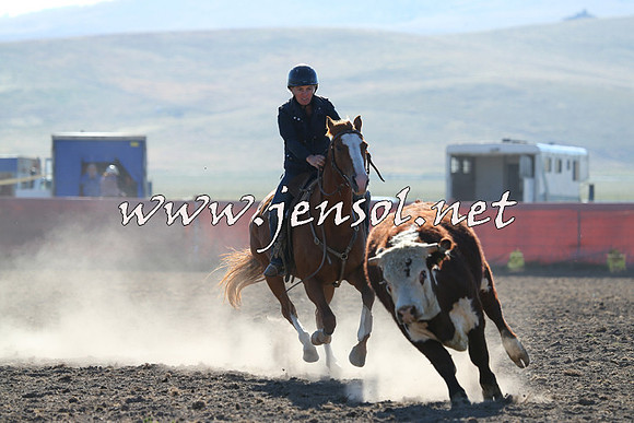 AdaminabyCampdraft2014_0701