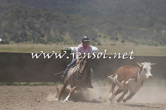 AdaminabyCampdraft2014_0342
