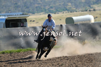 AdaminabyCampdraft2014_0709