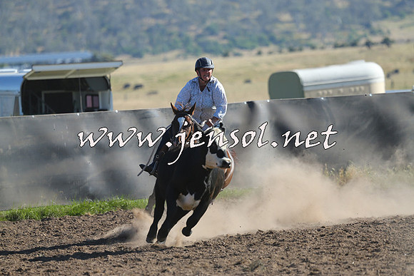 AdaminabyCampdraft2014_0709
