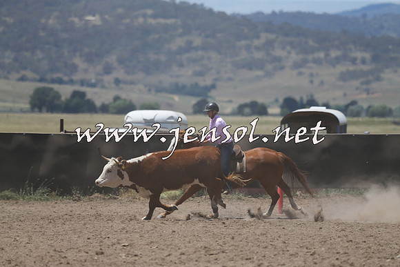 AdaminabyCampdraft2014_0310