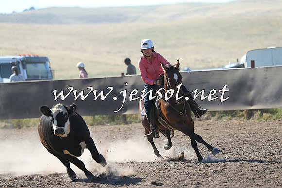 AdaminabyCampdraft2014_0748