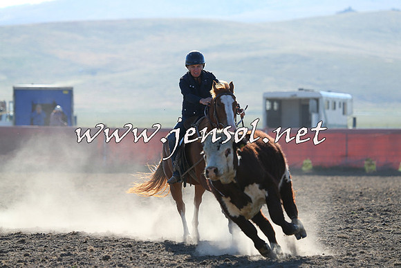AdaminabyCampdraft2014_0702