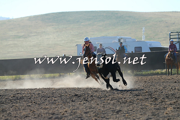AdaminabyCampdraft2014_0699