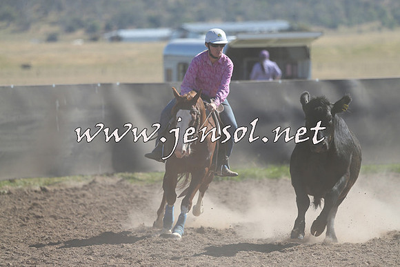 AdaminabyCampdraft2014_0800