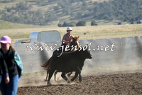 AdaminabyCampdraft2014_0707