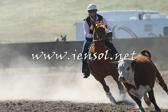 AdaminabyCampdraft2014_0765
