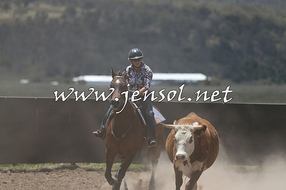 AdaminabyCampdraft2014_0314
