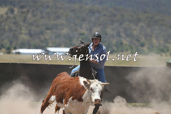 AdaminabyCampdraft2014_0339