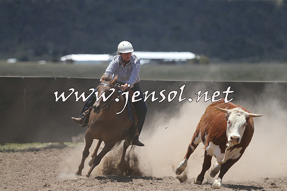 AdaminabyCampdraft2014_0321